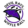 Devil Rays logo
