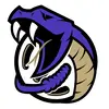 Diamondbacks logo